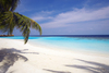 Lily Beach Resort & Spa 